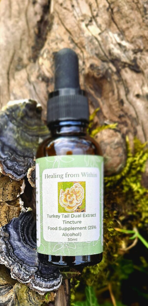 Turkey Tail Mushroom Tincture