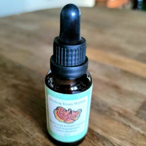 Reishi Mushroom Tincture in Amber Glass Dropper bottle, handcrafted herbal extract for calm, sleep and stress support