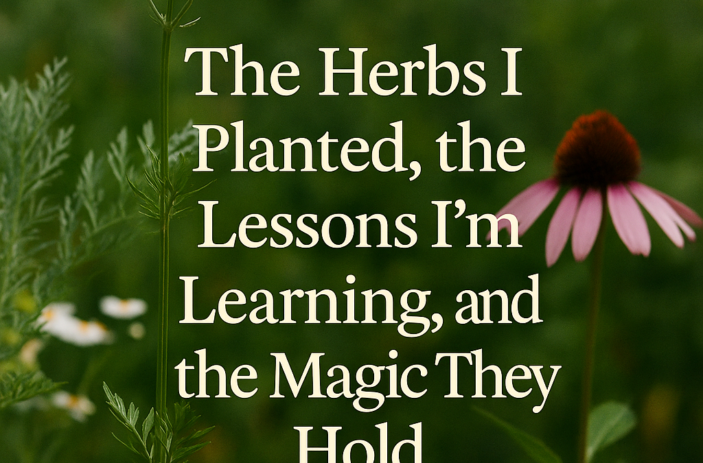 The Herbs I Planted, the Lessons I’m Learning, and the Magic They Hold