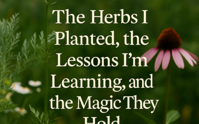 The Herbs I Planted, the Lessons I’m Learning, and the Magic They Hold