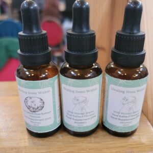 Wild Woman Blend Starter Kit