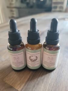 Wild Woman Blend Starter Kit featuring two Wild Woman Blend Tinctures and one Lion's Mane tincture in amber glass dropper bottles