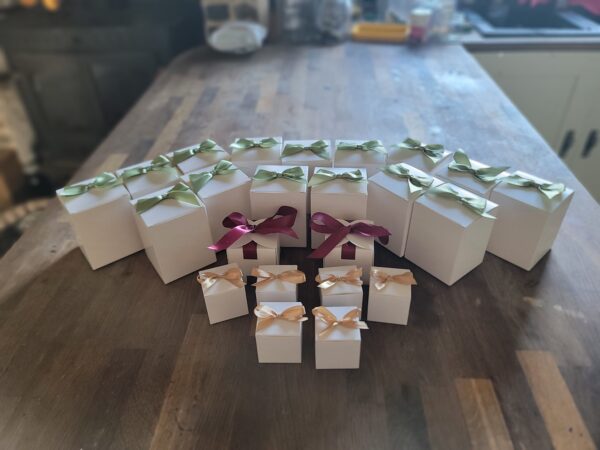 24 Days of Wellness Advent Calendar - Image 2