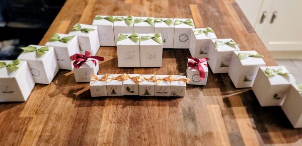 24 Days of Wellness Advent Calendar - Image 6
