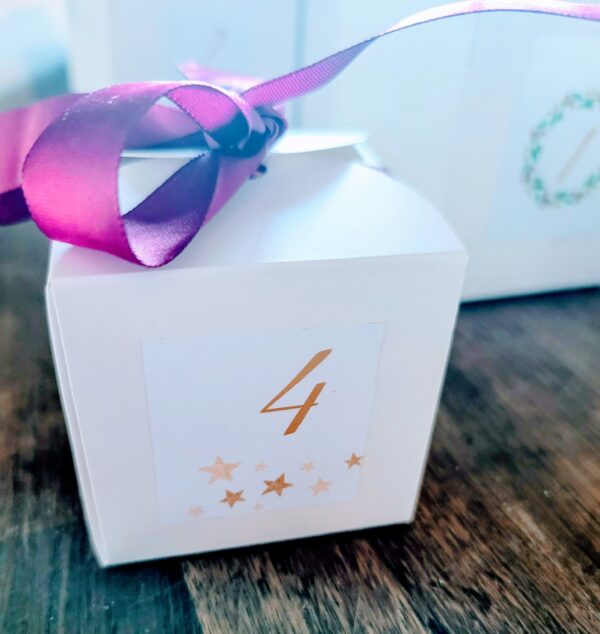 24 Days of Wellness Advent Calendar - Image 6