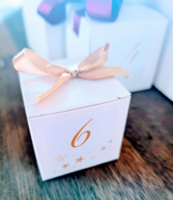24 Days of Wellness Advent Calendar - Image 5