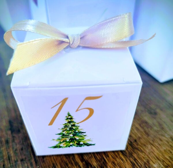 24 Days of Wellness Advent Calendar - Image 3