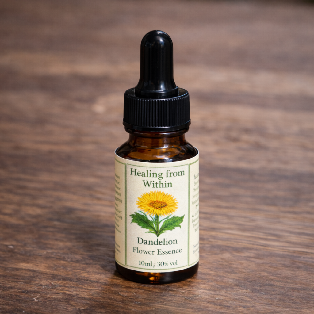 Amber glass dropper bottle of Dandelion flower essence with a cream label and botanical illustration, photographed on a wooden surface in natural light.