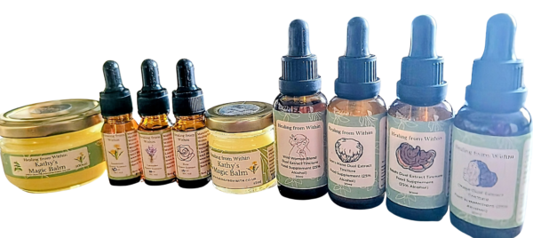 A lineup of Healing from Within natural remedies on a wooden table, including 30ml mushroom tinctures (Lion’s Mane, Reishi, Chaga and Wild Woman Blend), 10ml flower essences, and jars of Kathy’s Magic Balm, all in amber glass with green and cream labels, photographed in soft natural light.
