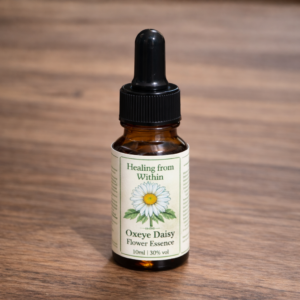 Amber glass dropper bottle of Oxeye Daisy flower essence with a cream label and botanical illustration, photographed on a wooden surface in natural light.