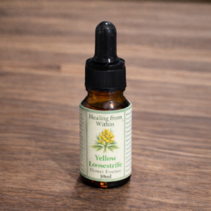 Amber glass dropper bottle of Yellow Loosestrife flower essence with a cream label and botanical illustration, photographed on a wooden surface in natural light.