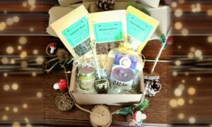Healing From Within Winter Tea Box with three herbal tea pouches, a heart tea strainer, Kathy's Magic Balm and cacao, surrounded by pine cones and toadstools